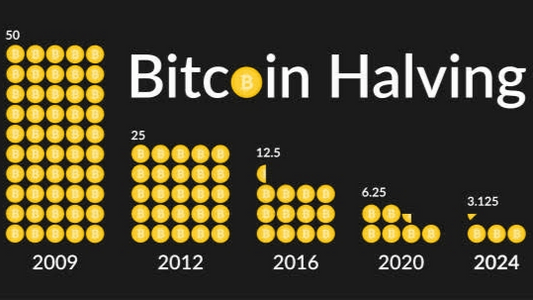 Understanding Bitcoin Halving and Its Impact on BTC Price.