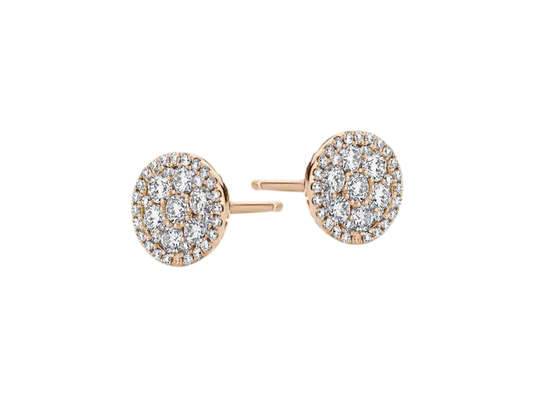 Buy original Jewelry Schaap en Citroen Earrings  1PE0271274/1 with Bitcoin!