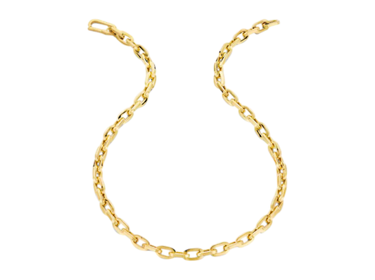 Buy original Jewelry Schaap en Citroen Necklace & Pendant 501GX0019 with Bitcoin!